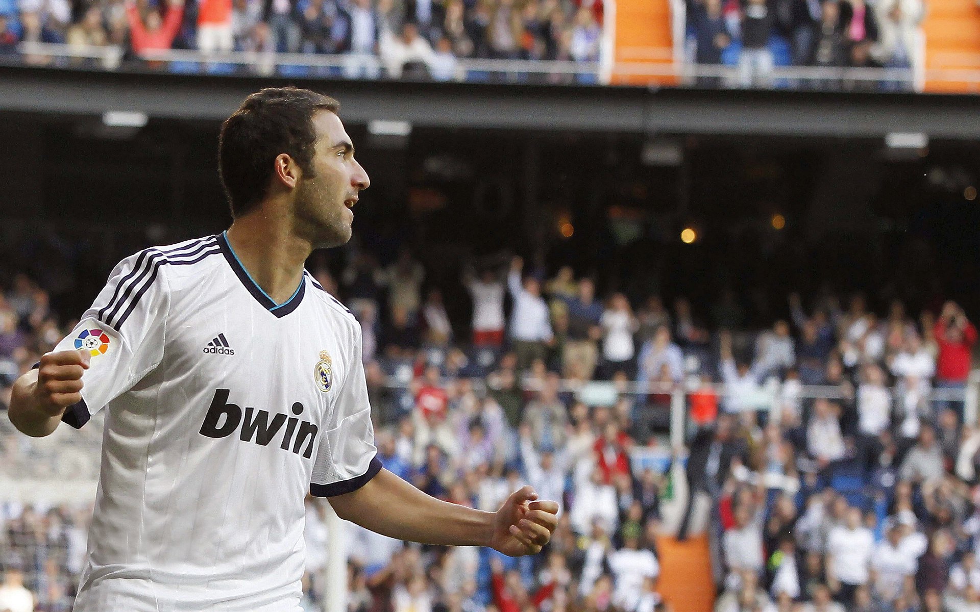 技术稳定性：中美澳德谁表现最佳？