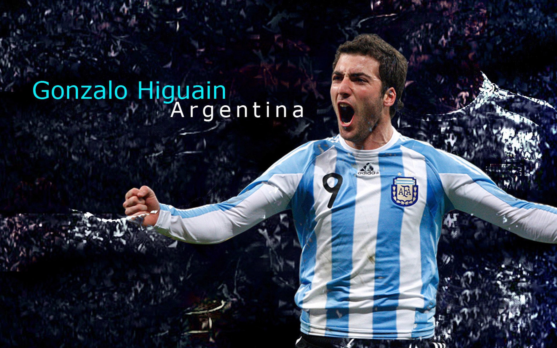 李娜说家庭给予自己强大情感支持，李娜情感经历